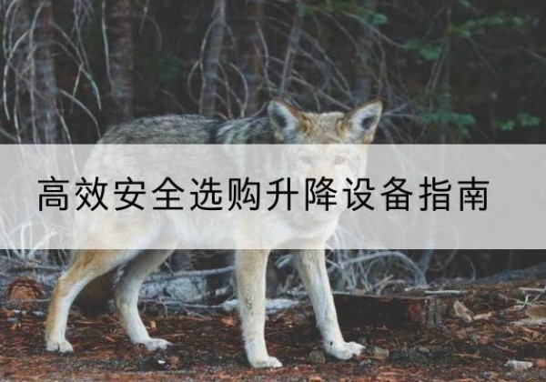 北京升降货梯厂家推荐-*安全选购升降设备指南