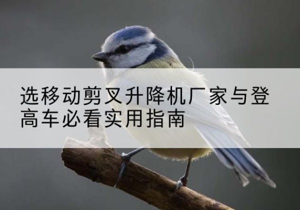 北京电动升降机厂家-选移动剪叉升降机厂家与登高车必看实用指南